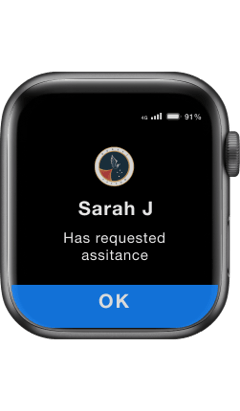 NOTIFICATION TEAM ALERT